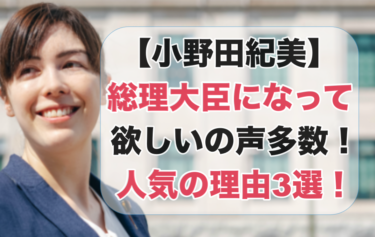 【小野田紀美】総理大臣になって欲しいの声多数！人気の理由3選！